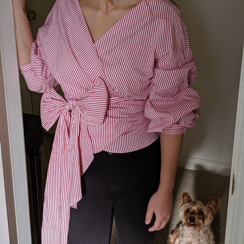 Zara blouse top